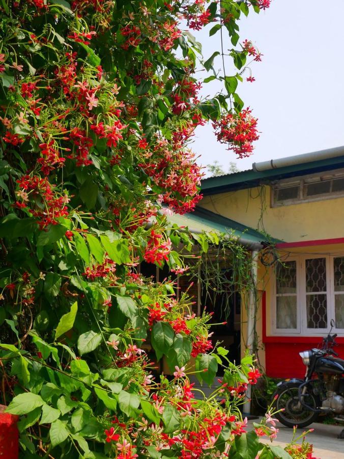 Gibbon Backpackers Hostel غاواهاتي المظهر الخارجي الصورة