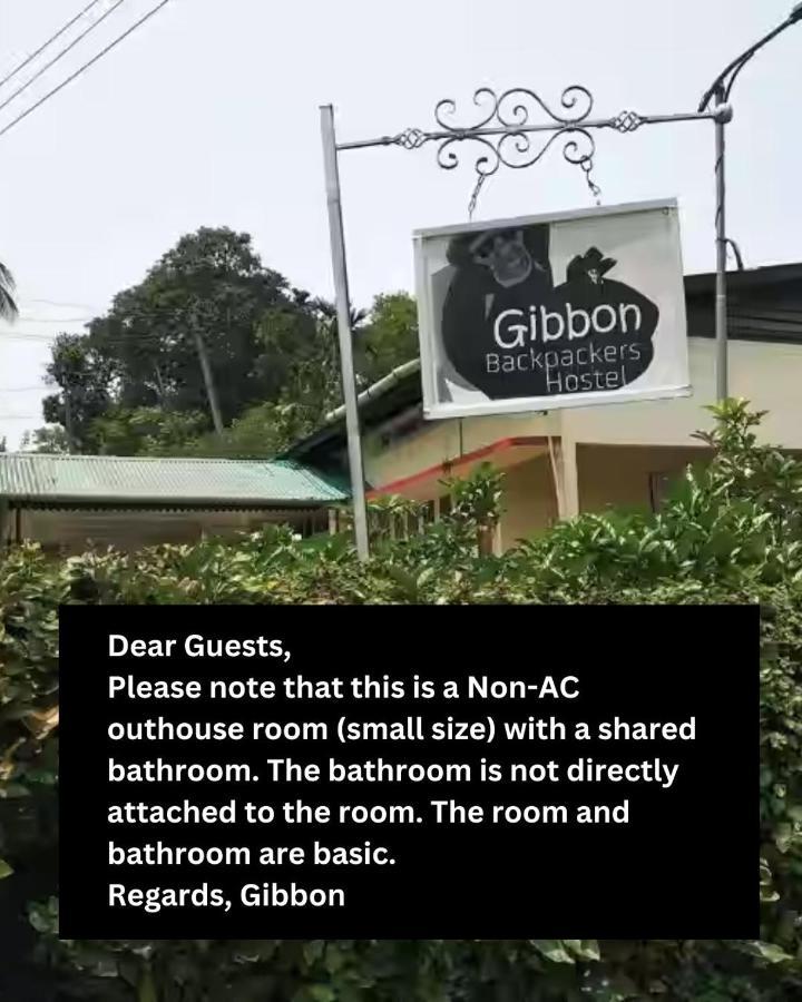 Gibbon Backpackers Hostel غاواهاتي المظهر الخارجي الصورة