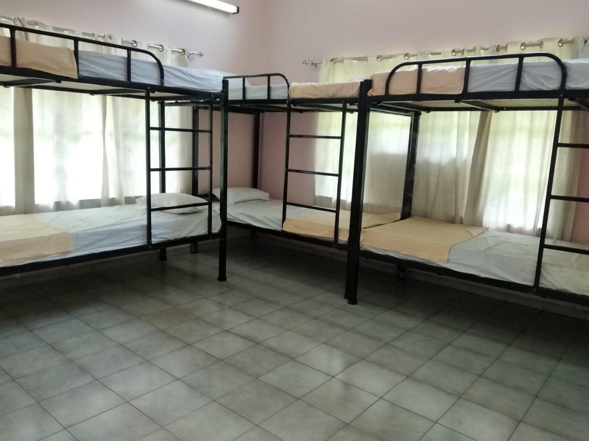Gibbon Backpackers Hostel غاواهاتي المظهر الخارجي الصورة