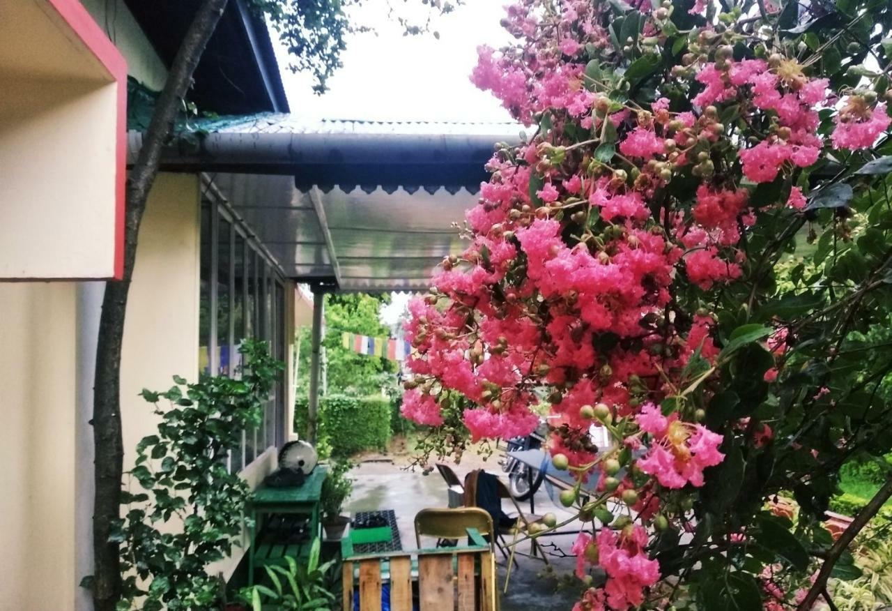 Gibbon Backpackers Hostel غاواهاتي المظهر الخارجي الصورة